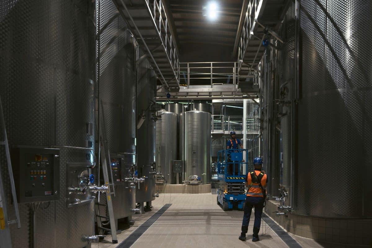 Inspection of fall protection systems: efficiency and continuity in a wine cellar